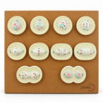 Animal Mitosis Model